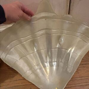 ARDA Shell-Shaped Glass Decorative Bowl